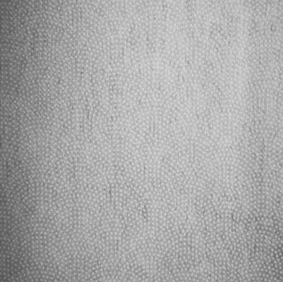 PA/PES rivestito e dot Fuse Flower Dot 100% Polyester Nonwoven Interlining for Garments