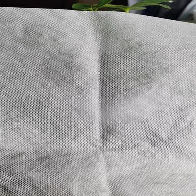 Film adesivo di supporto per ricami leggeri e solubili in acqua e disegni dettagliati