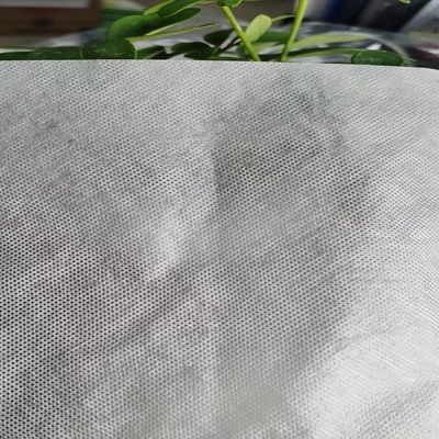 Ricamo Sostituzione Interlining Film PVA ricamato da GAOXIN spessore diverso